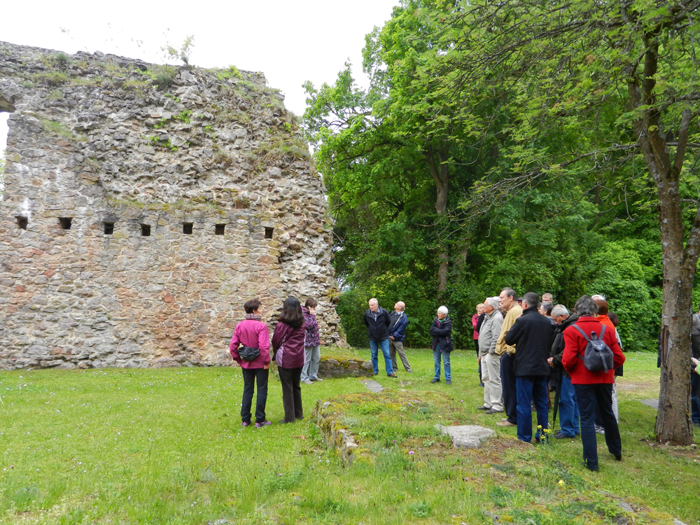 03 burg donaustauf