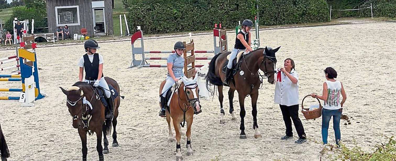 2025 07 12 Dressur und Springturnier RFV MITT
