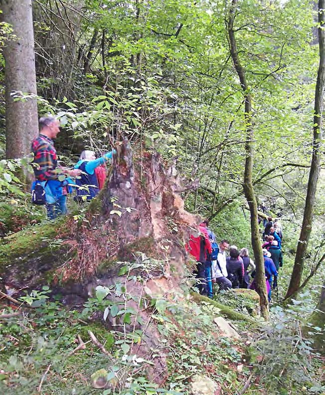 jahresrueckblick mitterfels 2015 2 023 bog ztg 00 130116 w